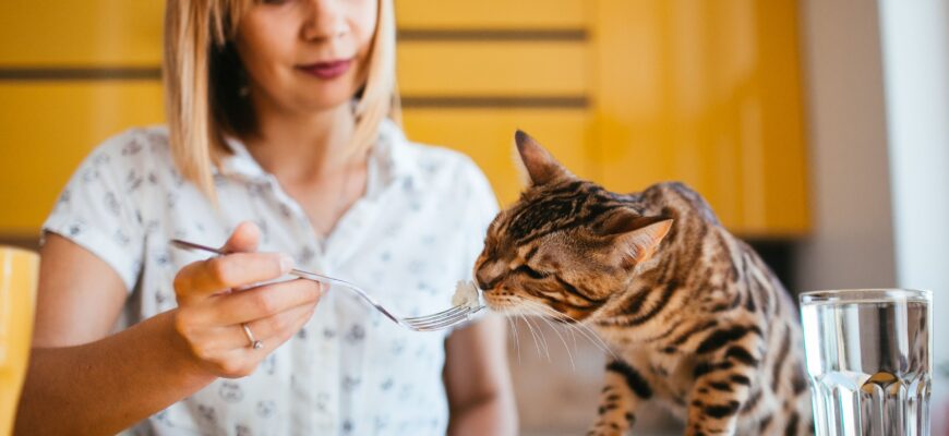 Pro Plan Veterinary Diets. Корма в банках для кошек с особыми потребностями